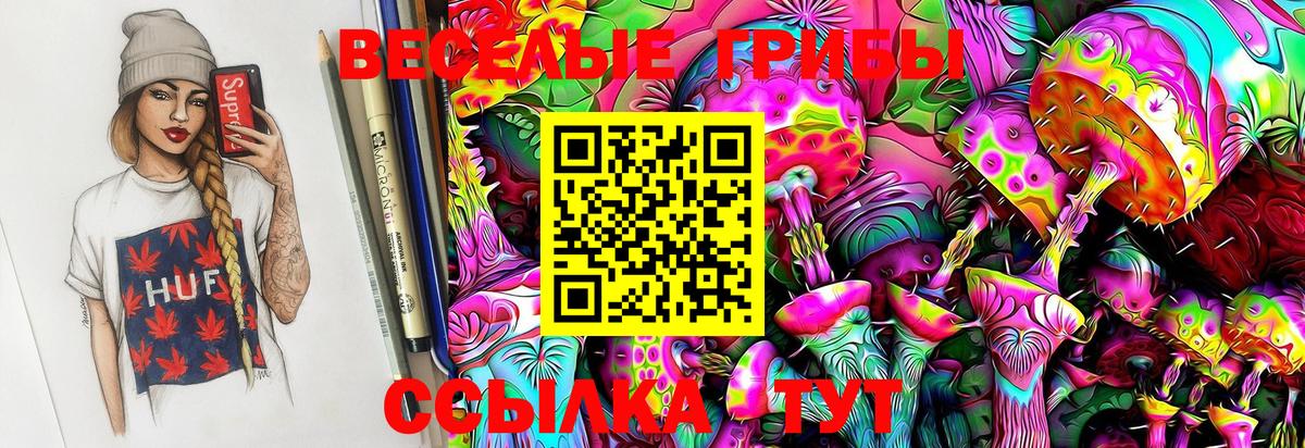 Псилоцибиновые грибы Psilocybe  купить закладку  Электросталь  Вход с VPN 