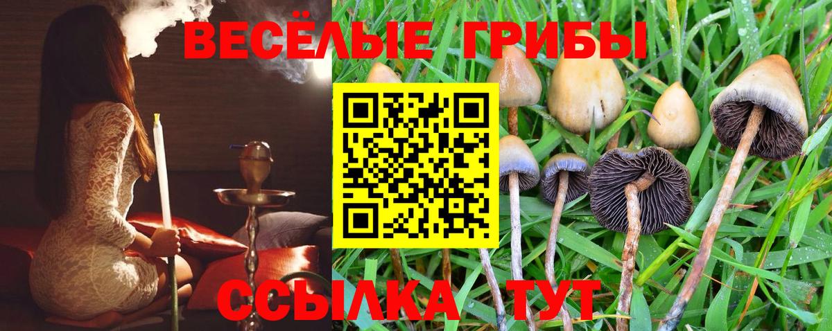 Галлюциногенные грибы MAGIC MUSHROOMS Электросталь